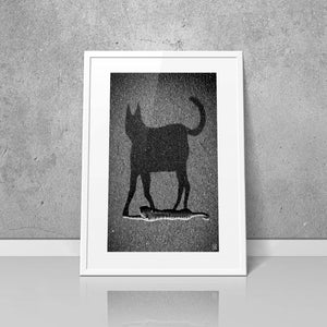 Poster CHATDOW